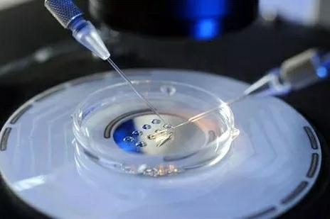 42岁成功案例